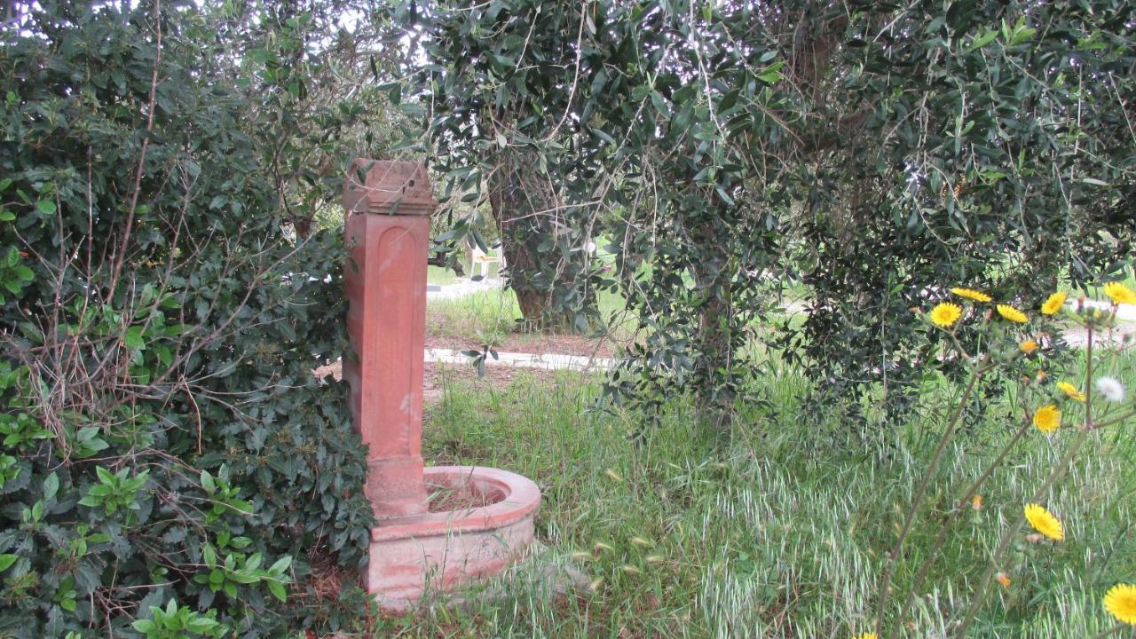 Relais"La Cappuccina" Rooms&Apartments Ασίζη Εξωτερικό φωτογραφία