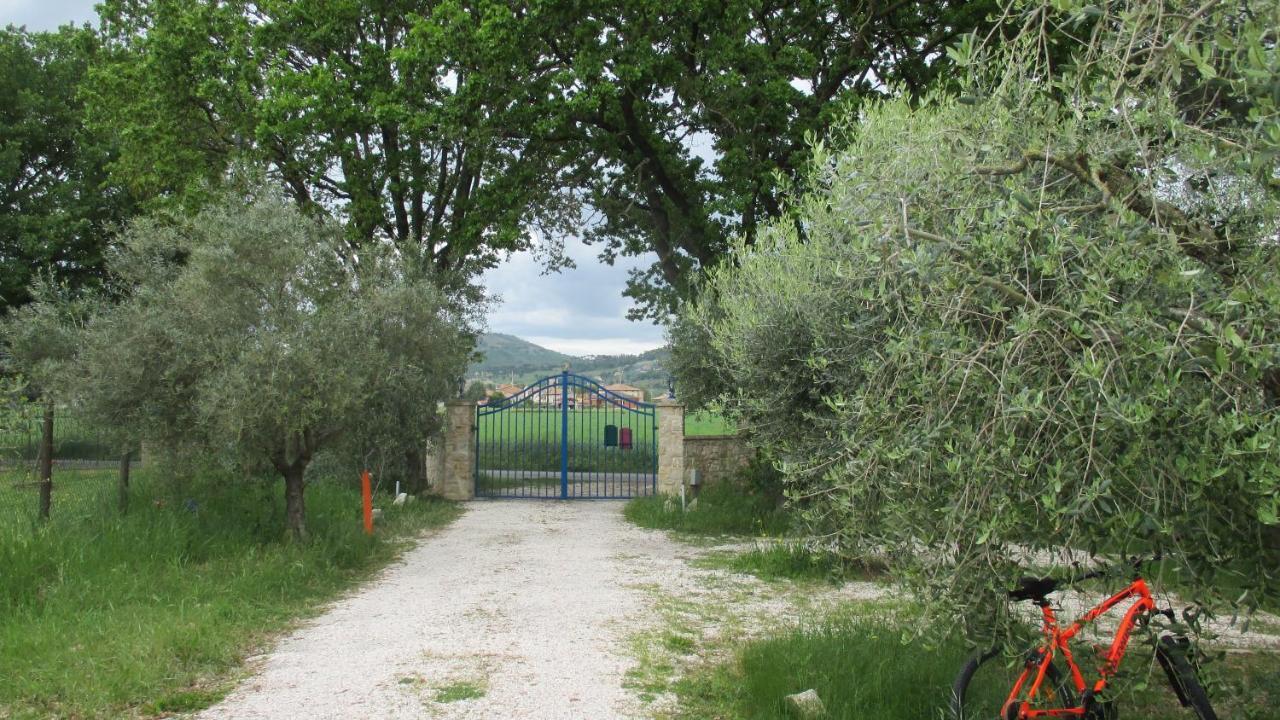 Relais"La Cappuccina" Rooms&Apartments Ασίζη Εξωτερικό φωτογραφία